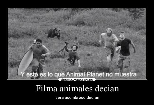 Filma animales decian -