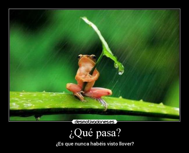 ¿Qué pasa? -