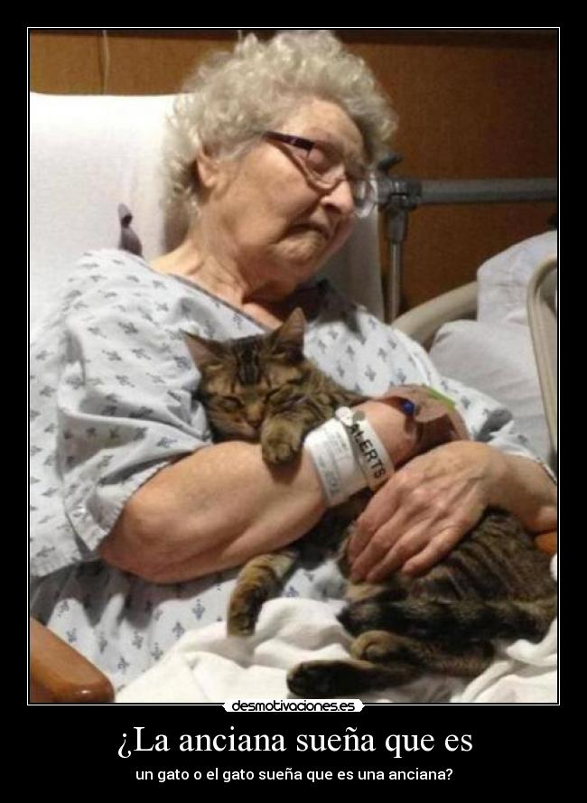 ¿La anciana sueña que es -