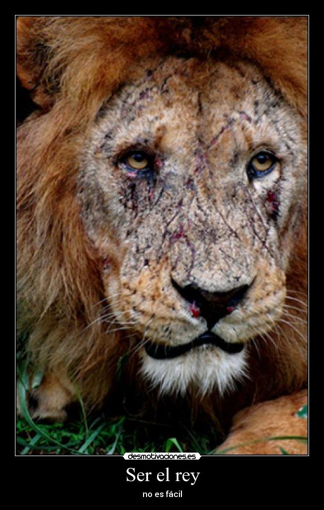 Ser el rey - no es fácil