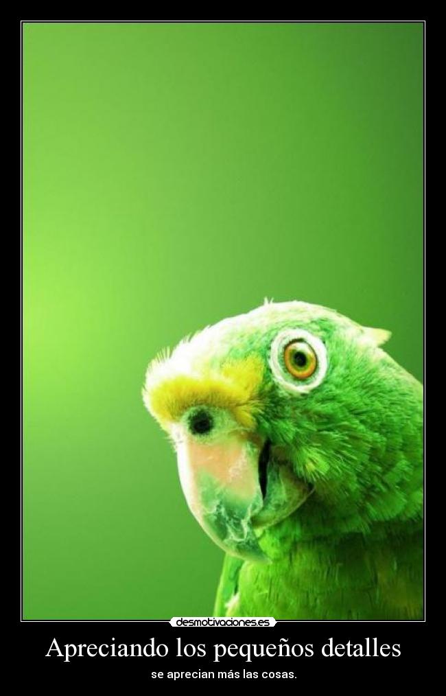Apreciando los pequeños detalles - se aprecian más las cosas.