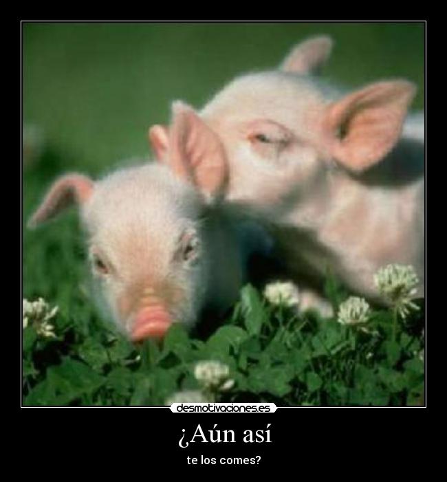 ¿Aún así - te los comes?
