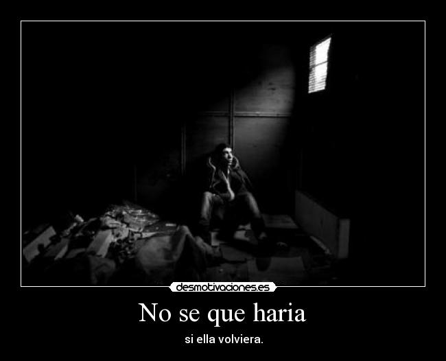 carteles belkin desmotivaciones