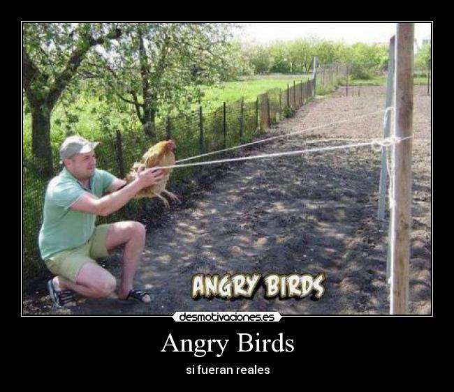 Angry Birds -
