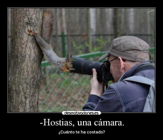 -Hostias, una cámara. - 
