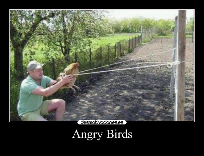 Angry Birds -