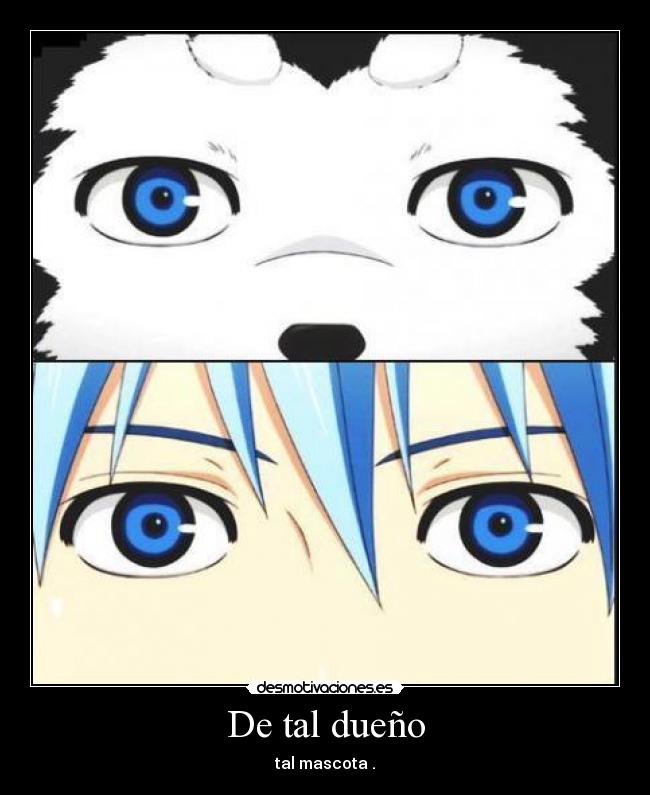 De tal dueño - 