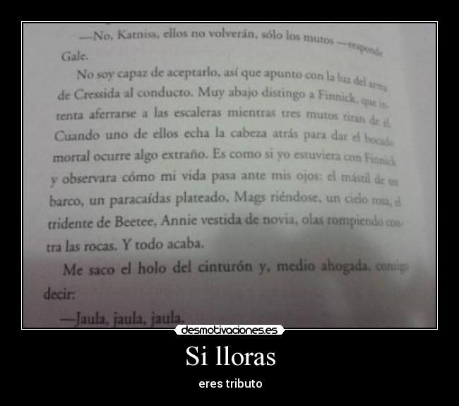 Si lloras - eres tributo