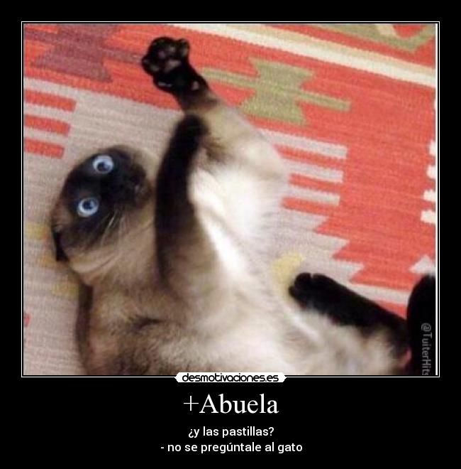 +Abuela - ¿y las pastillas?
- no se pregúntale al gato