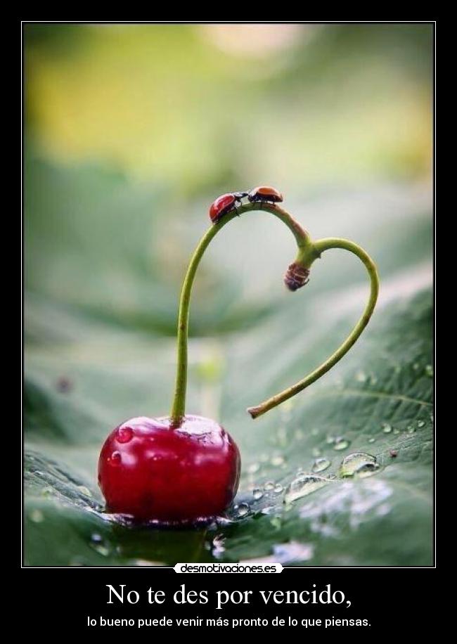 No te des por vencido, - lo bueno puede venir más pronto de lo que piensas.