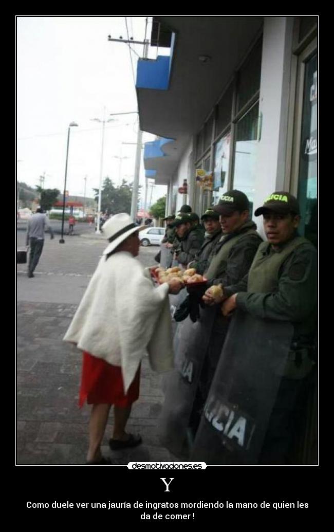 Y - Como duele ver una jauría de ingratos mordiendo la mano de quien les da de comer !