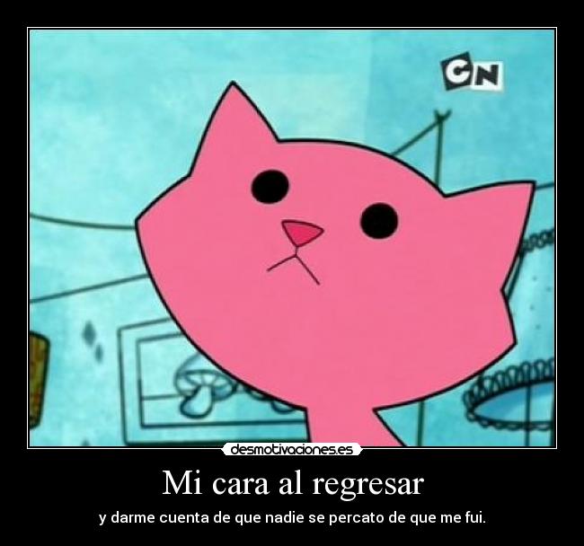 Mi cara al regresar - 