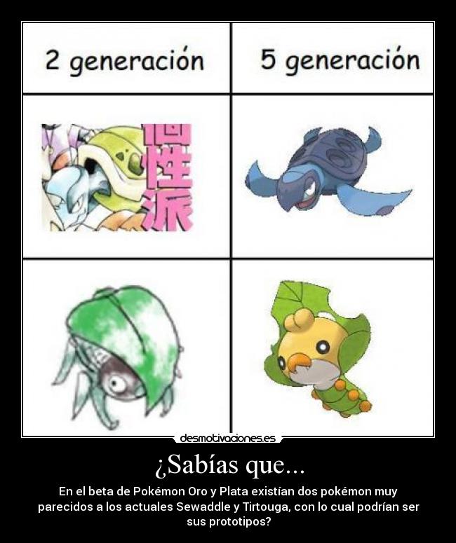¿Sabías que... - En el beta de Pokémon Oro y Plata existían dos pokémon muy
parecidos a los actuales Sewaddle y Tirtouga, con lo cual podrían ser
sus prototipos?