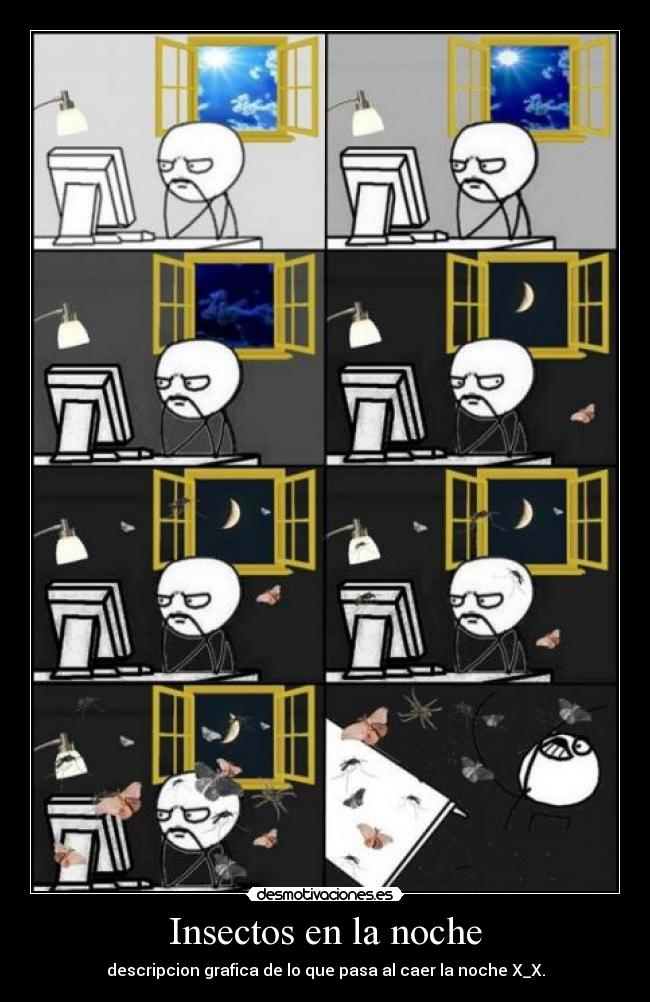Insectos en la noche -