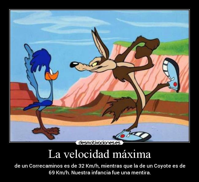 La velocidad máxima - de un Correcaminos es de 32 Km/h, mientras que la de un Coyote es de
69 Km/h. Nuestra infancia fue una mentira.