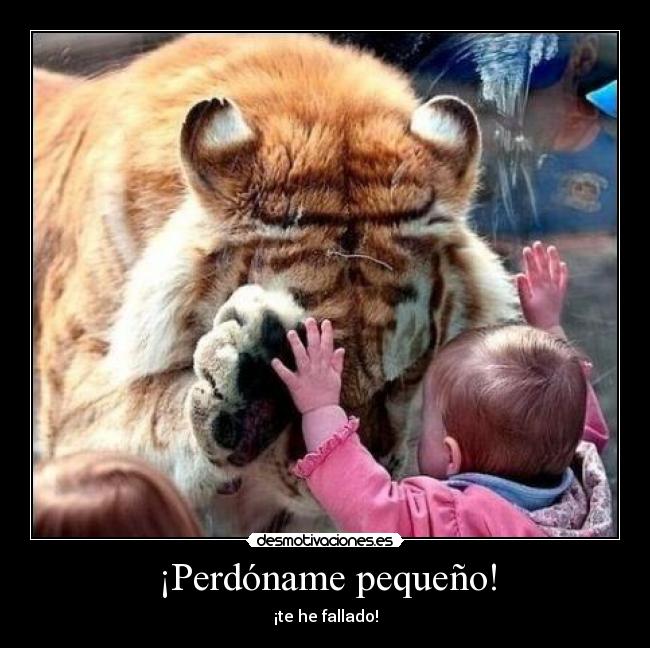 ¡Perdóname pequeño! -