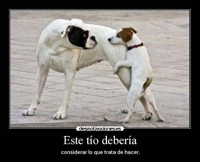 Este tío debería - considerar lo que trata de hacer.