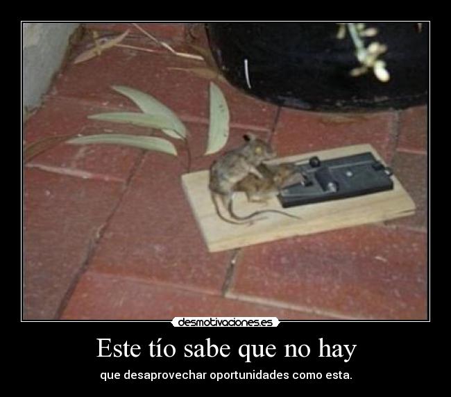 carteles desmofunny desmotivaciones