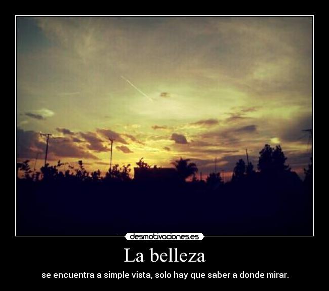 La belleza - se encuentra a simple vista, solo hay que saber a donde mirar.