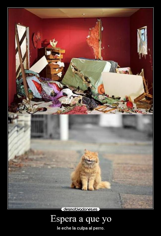 Espera a que yo - le eche la culpa al perro.