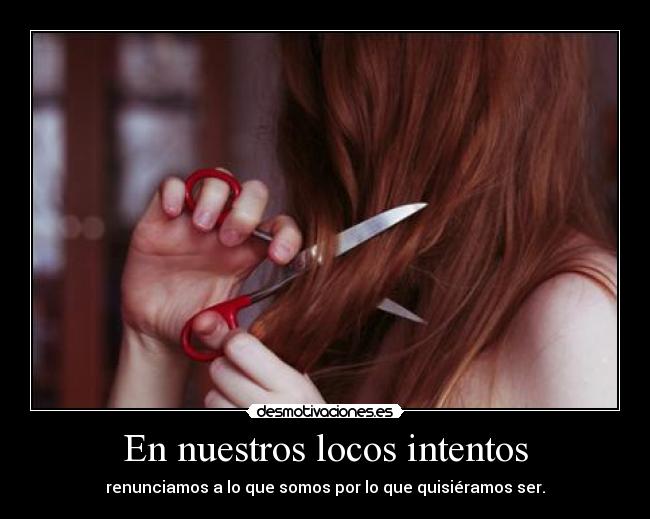 En nuestros locos intentos - 