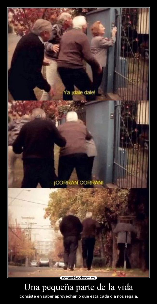 Una pequeña parte de la vida -