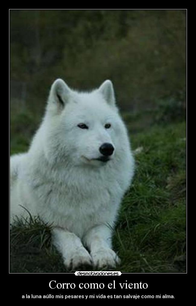 Corro como el viento -