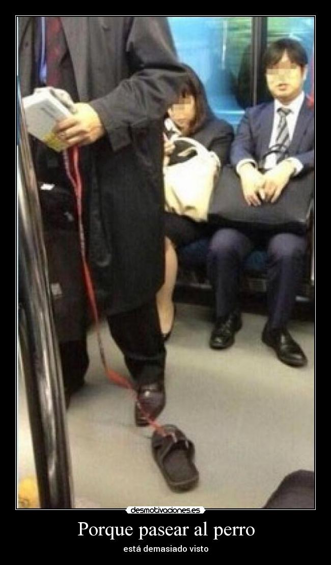 Porque pasear al perro - está demasiado visto