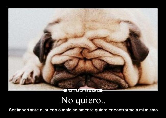 carteles perros desmotivaciones