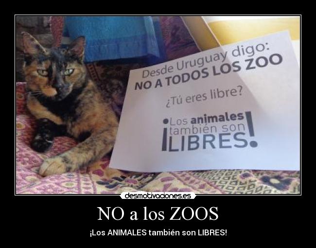 NO a los ZOOS - ¡Los ANIMALES también son LIBRES!