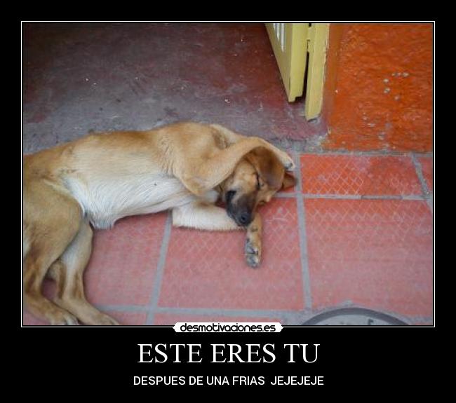 ESTE ERES TU - DESPUES DE UNA FRIAS JEJEJEJE