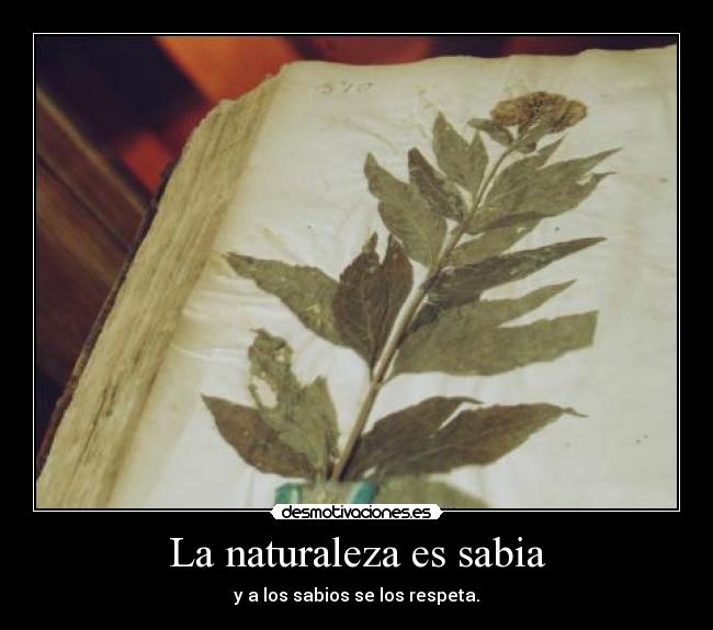 La naturaleza es sabia - y a los sabios se los respeta.