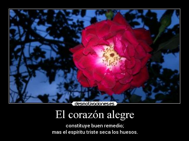 El corazón alegre - constituye buen remedio;
mas el espíritu triste seca los huesos.