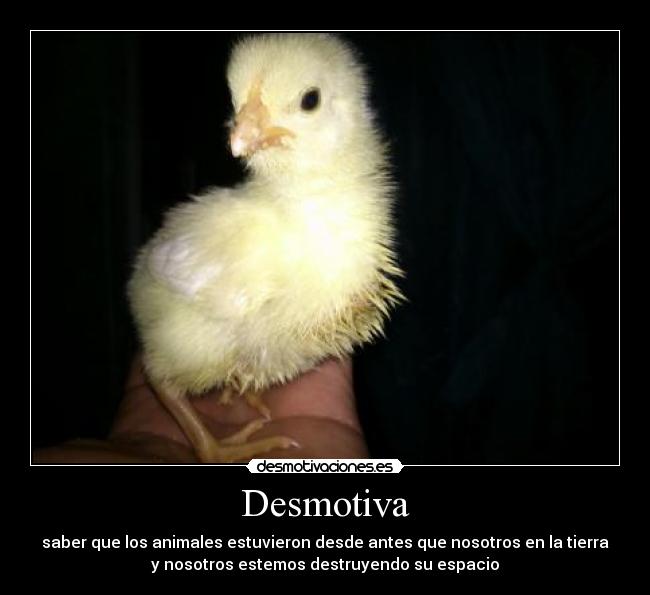 Desmotiva - saber que los animales estuvieron desde antes que nosotros en la tierra
y nosotros estemos destruyendo su espacio