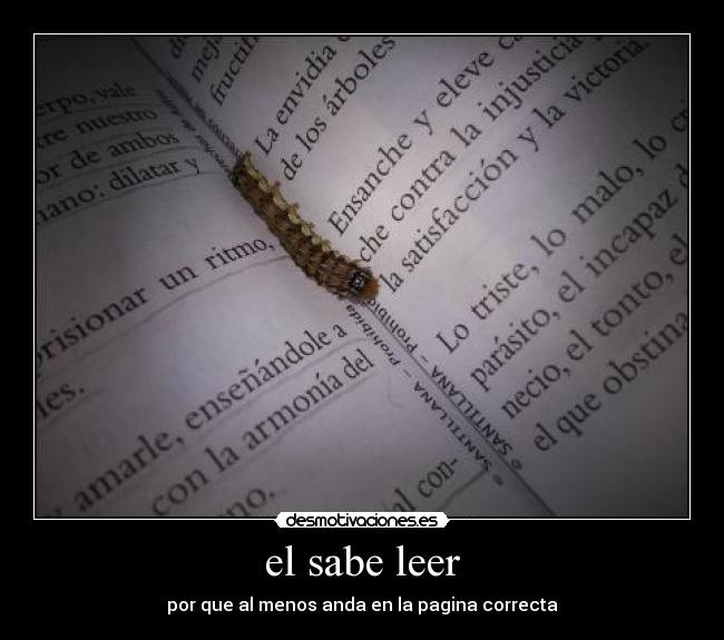 el sabe leer - por que al menos anda en la pagina correcta
