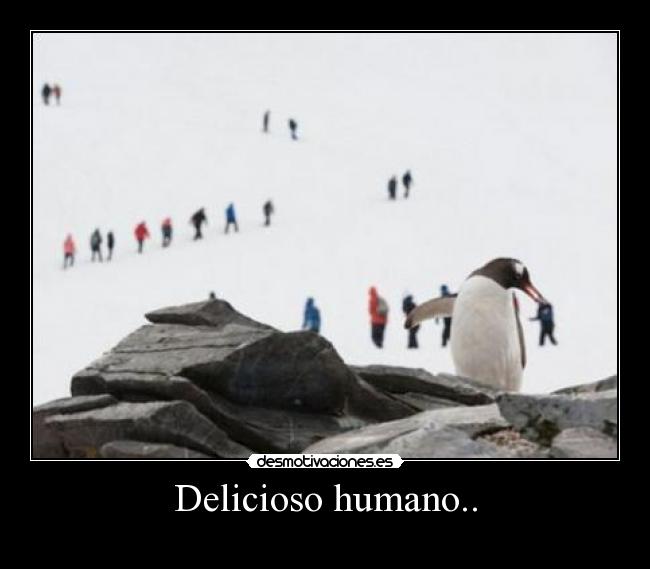Delicioso humano.. - 