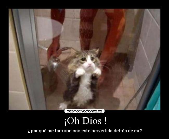 ¡Oh Dios ! -
