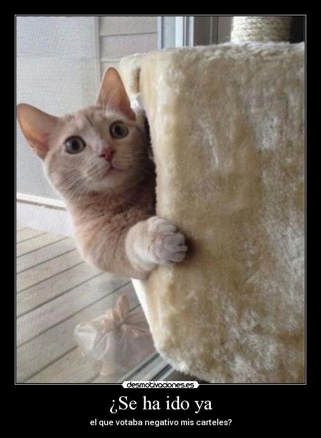 ¿Se ha ido ya - el que votaba negativo mis carteles?