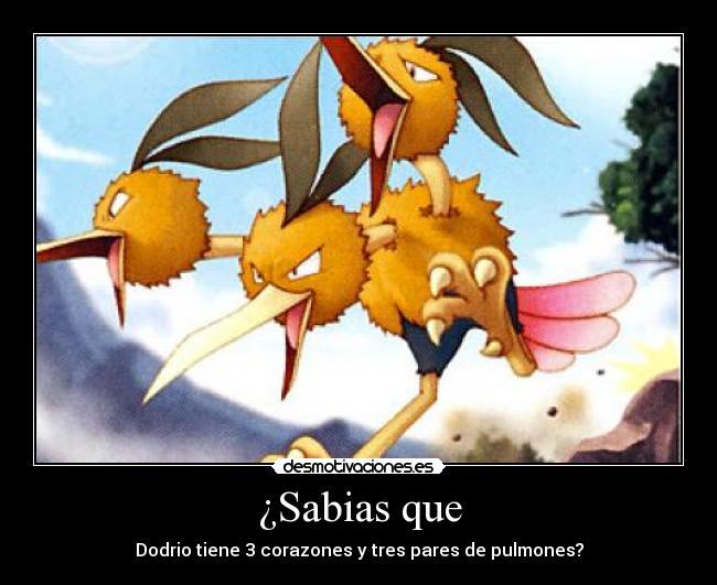 ¿Sabias que - Dodrio tiene 3 corazones y tres pares de pulmones?