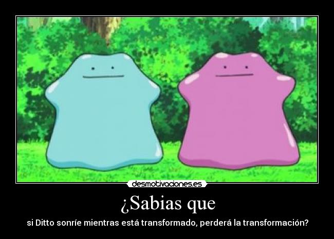 ¿Sabias que - si Ditto sonríe mientras está transformado, perderá la transformación?