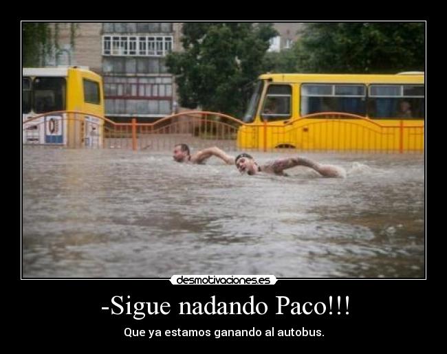 -Sigue nadando Paco!!! -