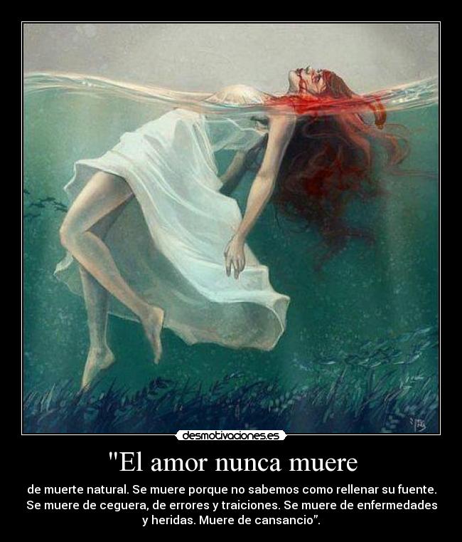 El amor nunca muere - 