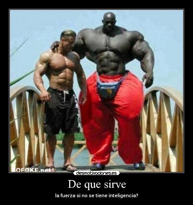 De que sirve - la fuerza si no se tiene inteligencia?