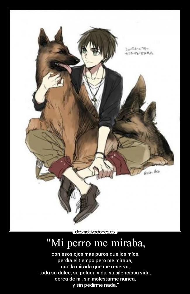 Mi perro me miraba, - con esos ojos mas puros que los míos,
perdía el tiempo pero me miraba,
con la mirada que me reservo,
toda su dulce, su peluda vida, su silenciosa vida,
cerca de mi, sin molestarme nunca,
y sin pedirme nada.
