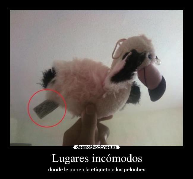 Lugares incómodos - donde le ponen la etiqueta a los peluches