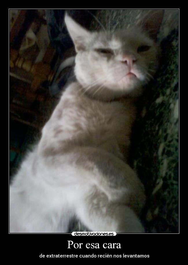 Por esa cara -