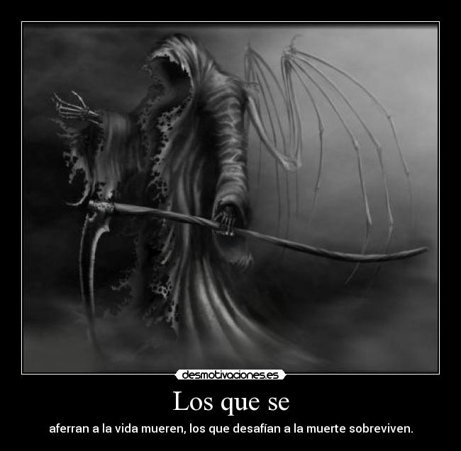 carteles muerte vida desafio sobrevivir desmotivaciones