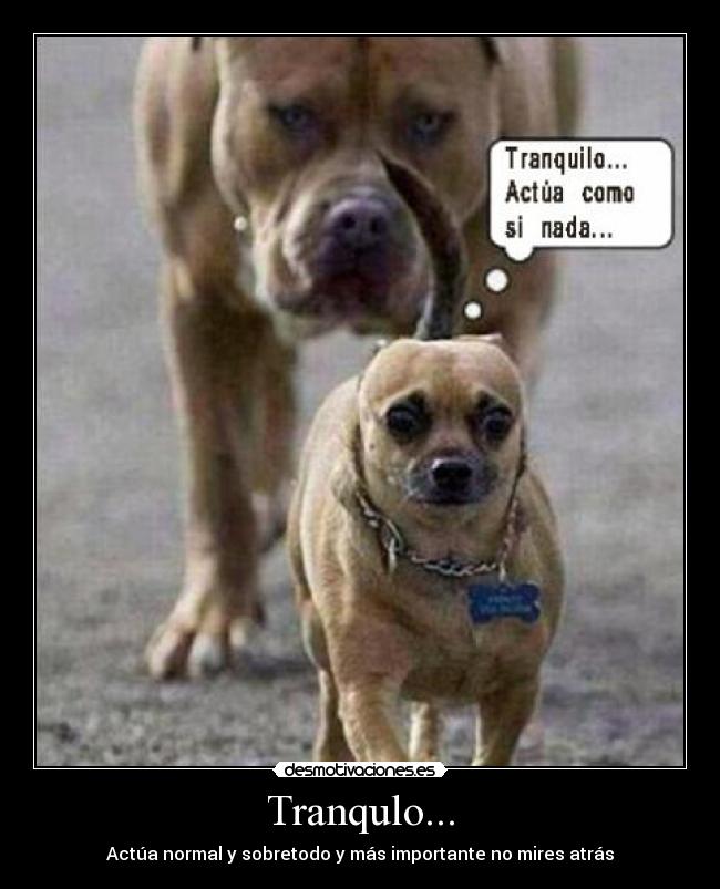 Tranqulo... - Actúa normal y sobretodo y más importante no mires atrás