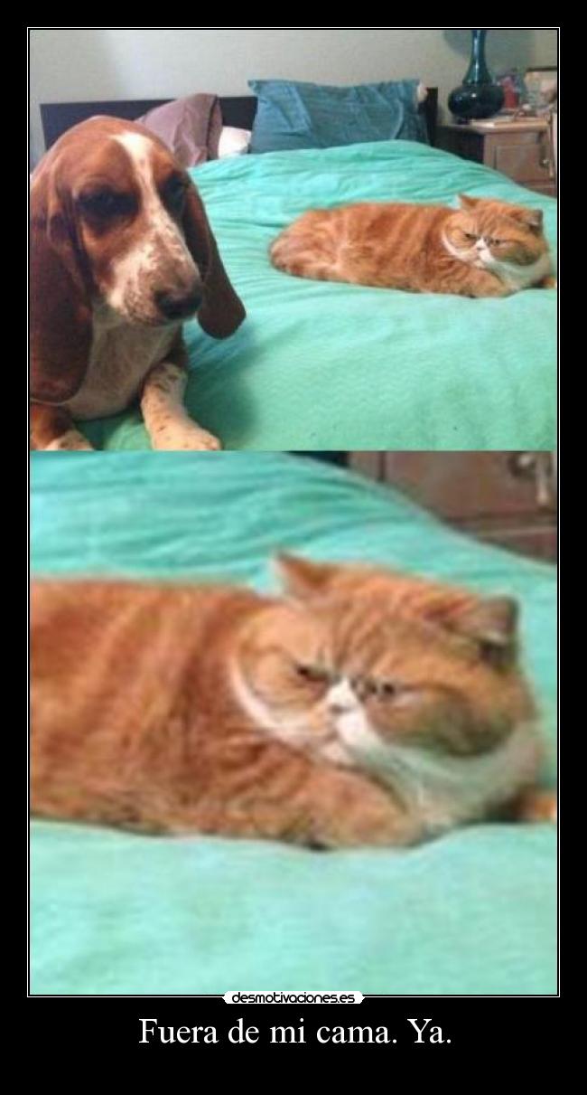 Fuera de mi cama. Ya. - 