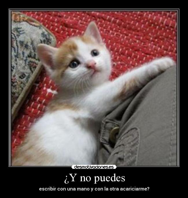 ¿Y no puedes - 